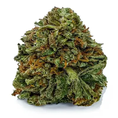 VANILLA ICE KUSH (BUDGET), Indica Hybrid