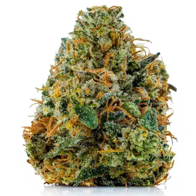 DEATH STAR BUBBA (CRAFT), Indica