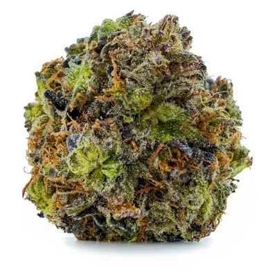 BUBBA STAR (EXOTIC), Indica