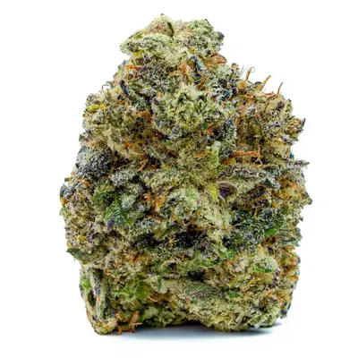 MENDO KUSH (BC PREMIUM)