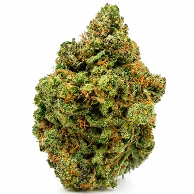 CHOCOLATE CHIP COOKIES (CRAFT), Sativa Hybrid