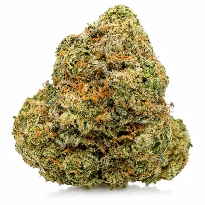 COSMIC COOKIES (CRAFT), Indica Hybrid