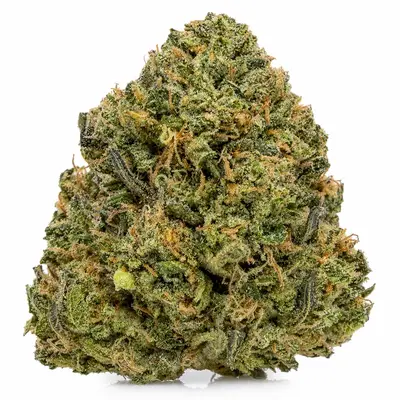 CRACK PINK (CRAFT), Indica Hybrid
