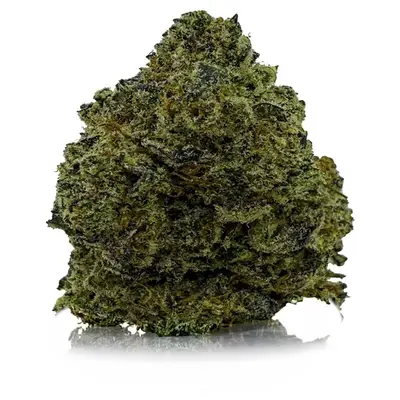 PURPLE SKUNK(EXOTIC), Sativa Hybrid