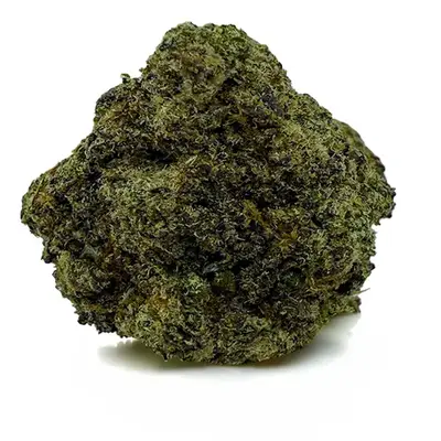 PLATINUM TUNA (CRAFT), Indica