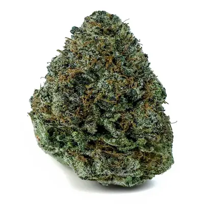 POISON IVY (Sativa) (CRAFT), Sativa Hybrid