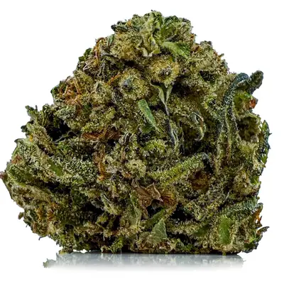 QAUNTUM KUSH (BUDGET), Indica Hybrid
