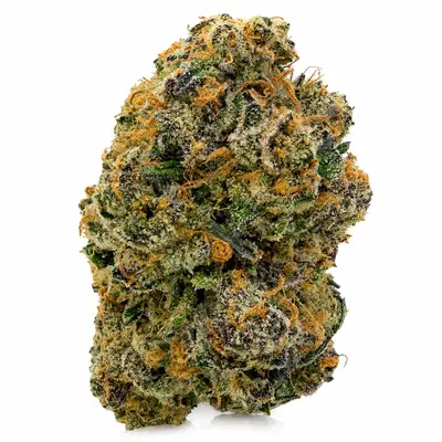 TEQUILA SUNRISE (EXOTIC), Sativa Hybrid