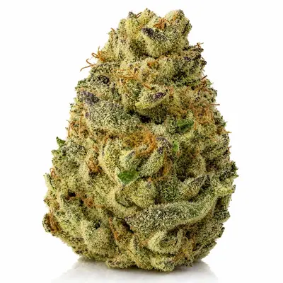 THUNDER FCK, Sativa Hybrid